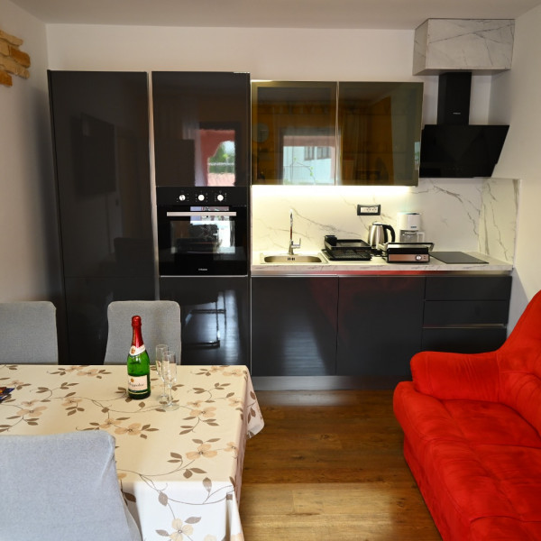 Living room, Holiday apartments Alina & Mia, Holiday apartments Alina & Mia near the sea and the center of Pula, Istria, Croatia Pula
